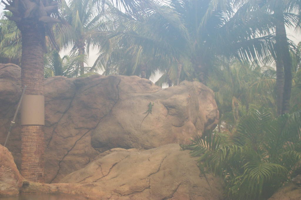 2003 Aruba